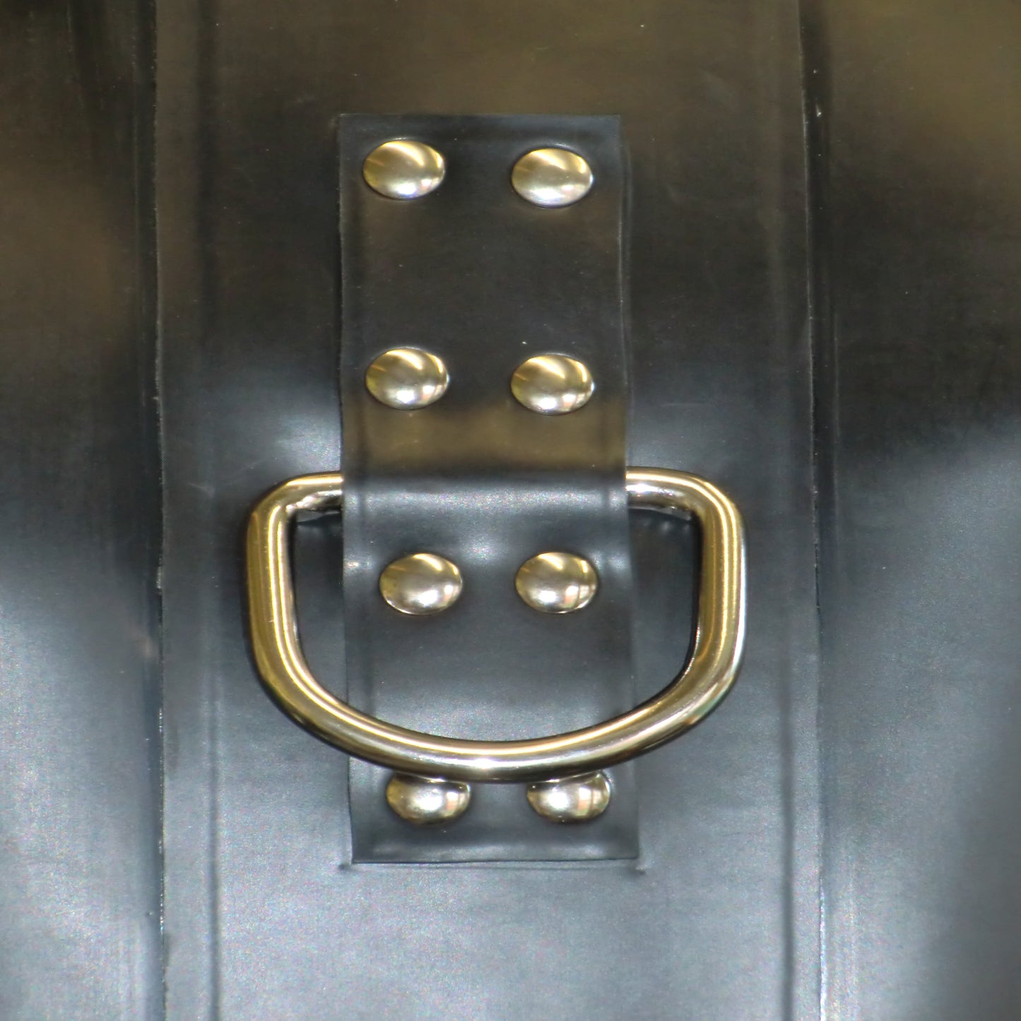 d ring straight jacket