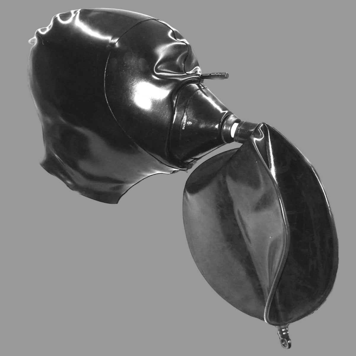 6 Lt Latex Bag