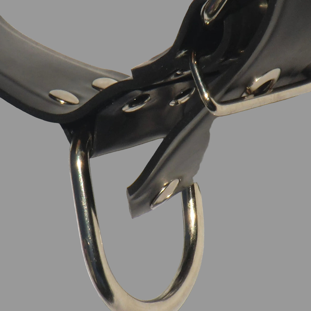 Heavyweight Latex Belt with Reinforced D-Rings | Canvas-Backed, Handmade in the UK